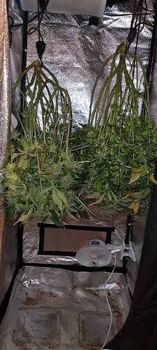 Growreport Bild 1