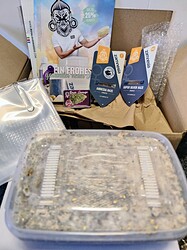 IMG_20230107_095747