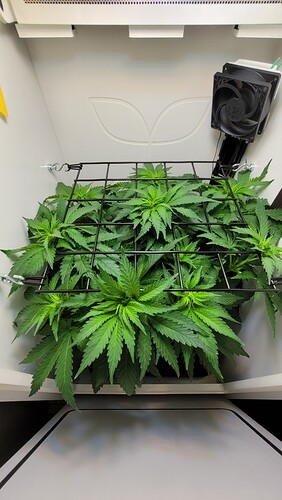 Growreport Bild 1