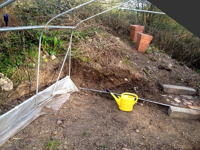 Growreport Bild 72