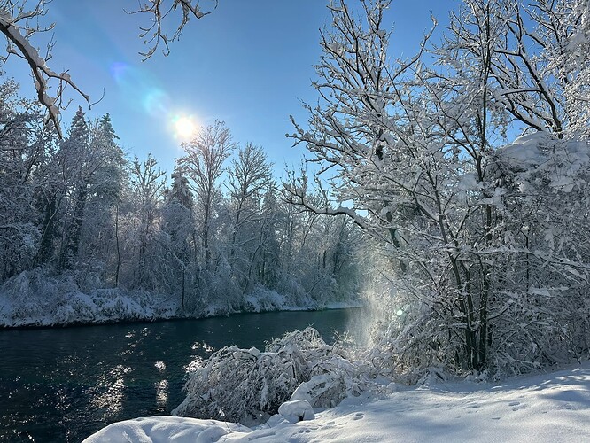 Growreport Bild 18