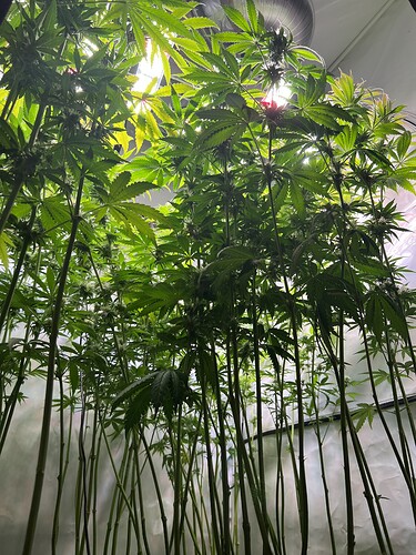 Growreport Bild 2