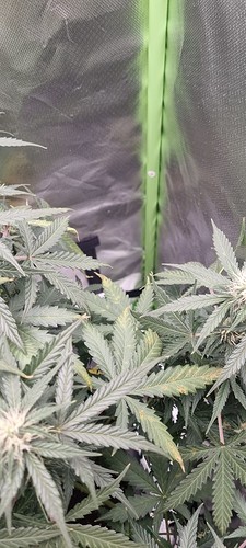 Growreport Bild 24
