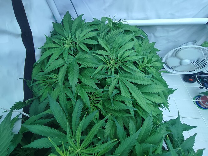 Growreport Bild 18