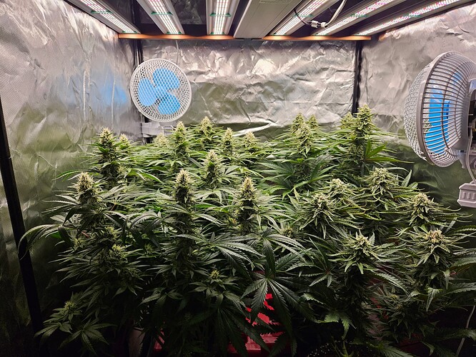 Growreport Bild 17