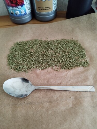 Growreport Bild 8