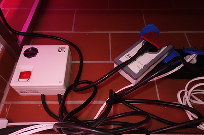 Growreport Bild 12