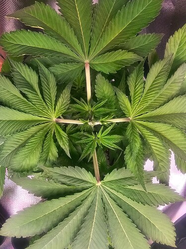 Growreport Bild 16