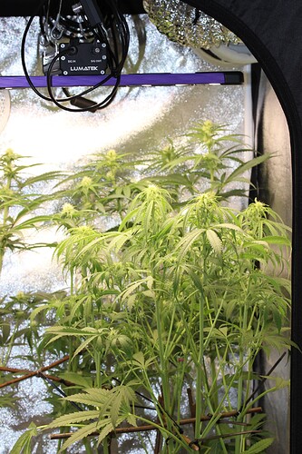 Growreport Bild 5