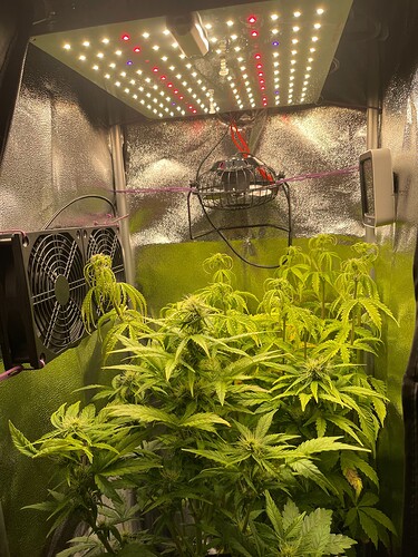 Growreport Bild 10