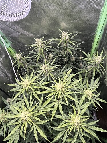 Growreport Bild 7