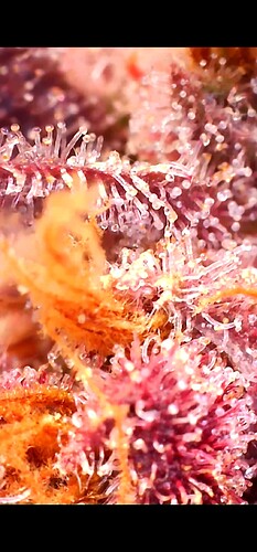 Growreport Bild 24