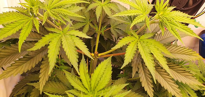 Growreport Bild 2