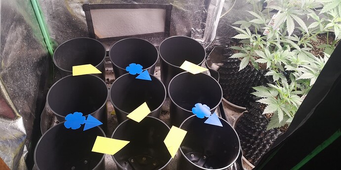 Growreport Bild 18