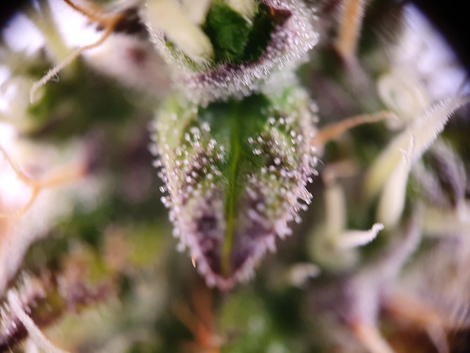 Growreport Bild 11