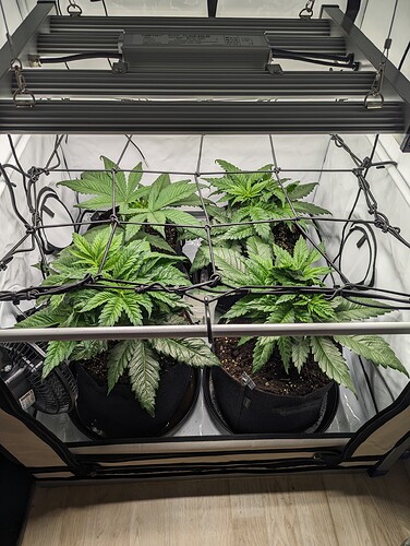 PXL_20231124_140258308