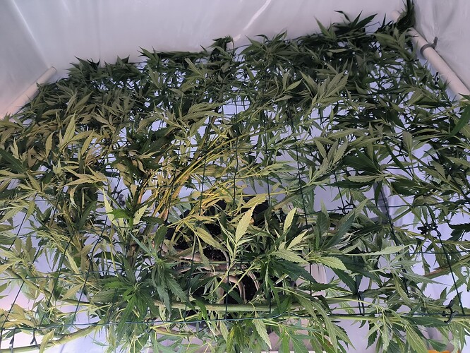 Growreport Bild 10