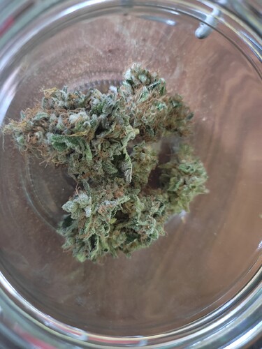 Growreport Bild 2