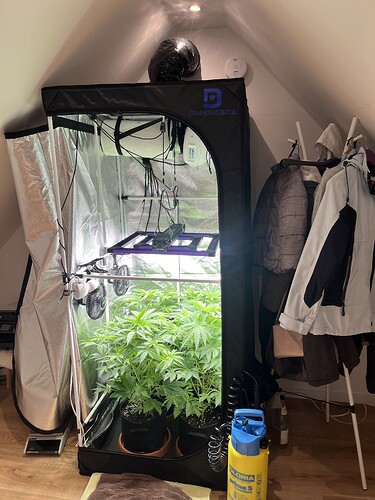 Growreport Bild 4