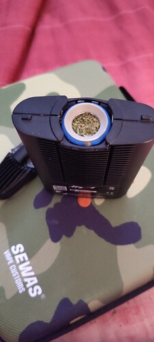 Growreport Bild 3