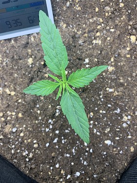 901189C9-BDDD-434C-9E98-DC9ACFDA6A33