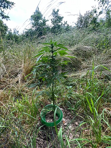 Growreport Bild 8
