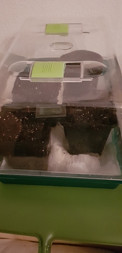 Growreport Bild 3