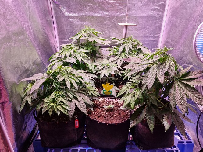 Growreport Bild 22