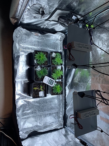 Growreport Bild 22