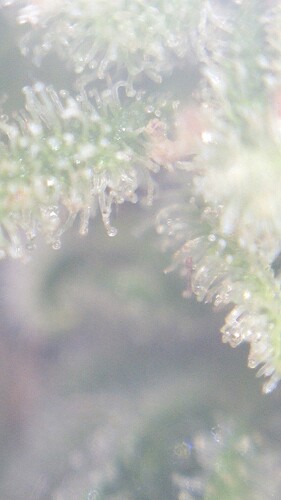 Growreport Bild 20