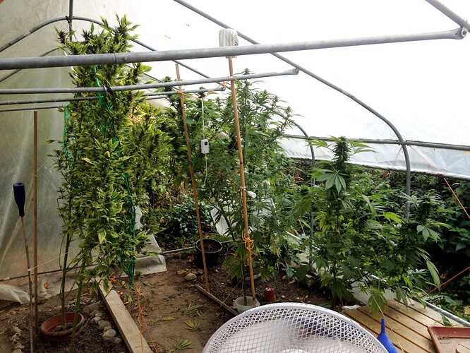 Growreport Bild 25