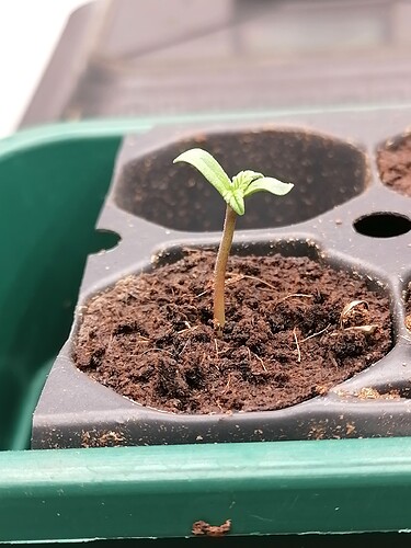 Growreport Bild 28