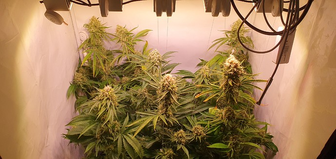 Growreport Bild 12