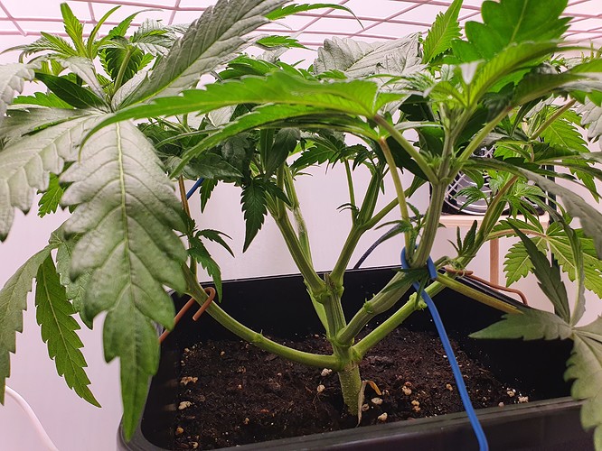 Growreport Bild 10