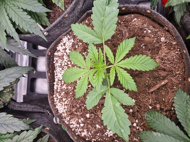 Growreport Bild 11