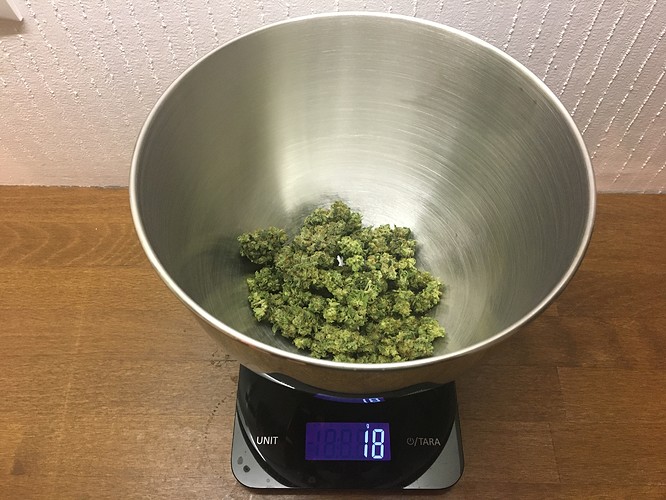 Growreport Bild 2