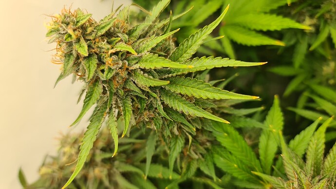 Growreport Bild 14