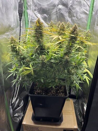 Growreport Bild 14