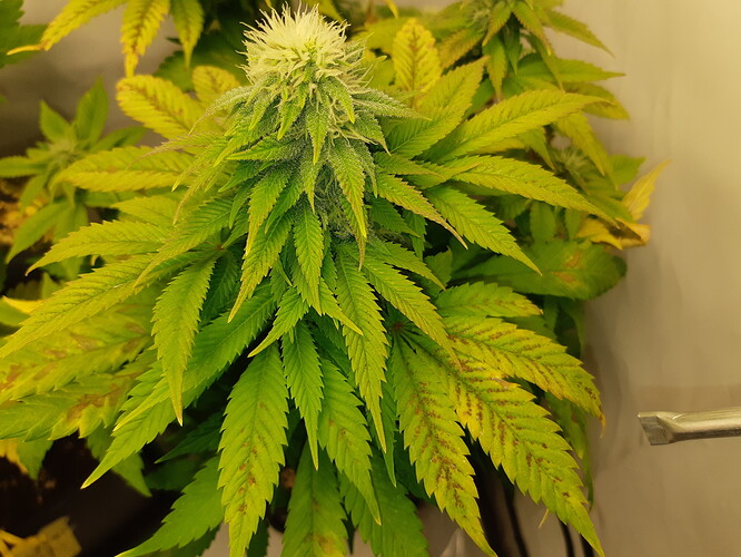 Growreport Bild 19
