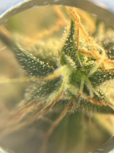Growreport Bild 23