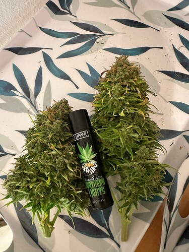 Growreport Bild 31