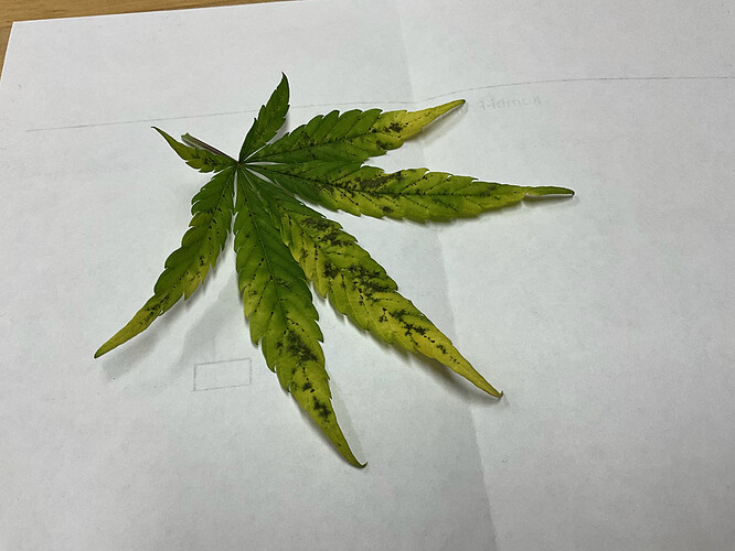 Growreport Bild 5