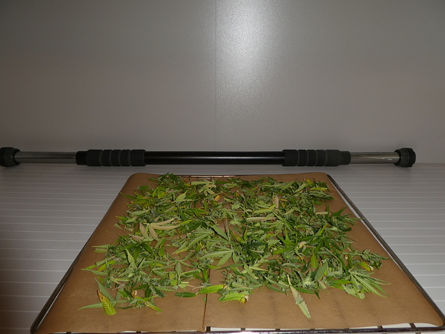 Growreport Bild 7