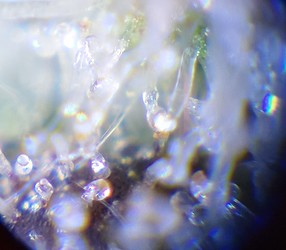 20220109_141334_HDR_(1)