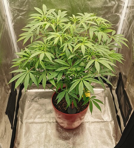 Growreport Bild 2