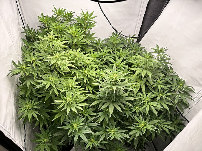 Growreport Bild 18