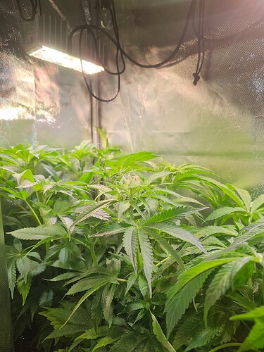 Growreport Bild 6