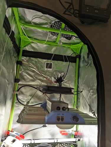 Growreport Bild 1
