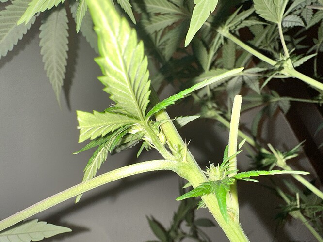 Growreport Bild 4