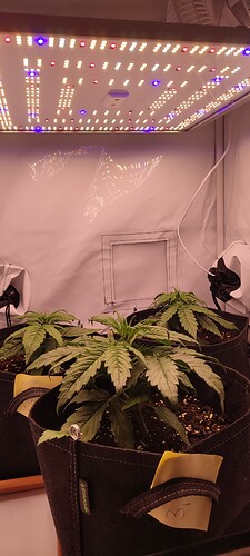 Growreport Bild 11